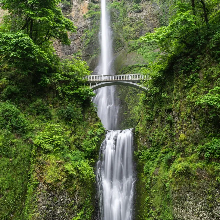 bridge
